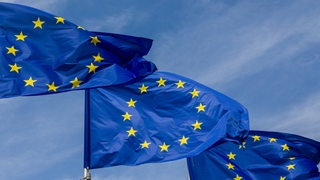 Im EU-Quartier in Brüssel wehen Flaggen der Europäischen Union im Wind.