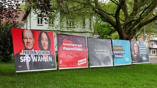 Große Plakate der SPD, Linken, FDP, CDU und Grünen zur Europawahl stehen an einer Wiese.