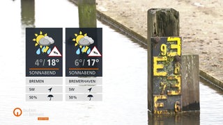 ZU sehen ist ein Wasserstandsanzeiger im Wasser und links im Bild die Wettertafeln.