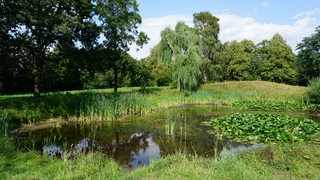 Ein See in einem Park, umgeben von Grünflächen.
