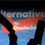 Delegierte der AfD stimmen mit Stimmkarten über Formalien ab.