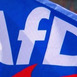 Eine Flagge mit dem Logo der AfD