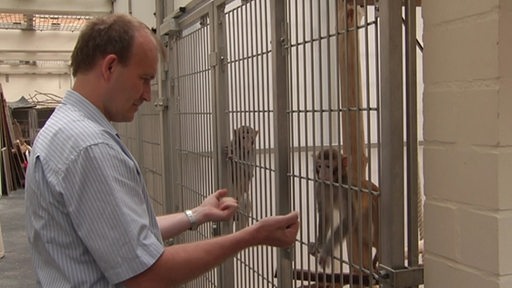 Der Wissenschaftler Andreas Kreiter steht vor einem Käfig, in welchem zwei Affen zu sehen sind.