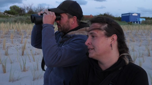Zwei Aktivisten von Sea Shepherd halten Ausschau nach einer Robbe