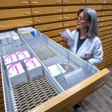Mitarbeiterin einer Apotheke sucht rezeptpflichtige Medikamente aus einem Apothekenschrank (Archivbild)