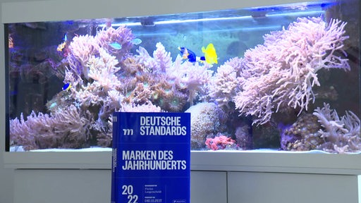 Ein blaues Buch über die Marken des Jahrhunderts vor einem Aquarium mit Korallen und Fischen.