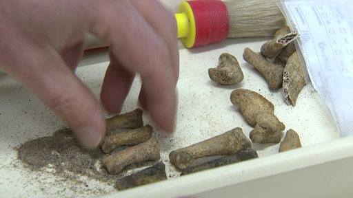 Ein Team der Landesarchäologie versucht die menschlichen Überreste von der Reitbrake zu identifizieren. 