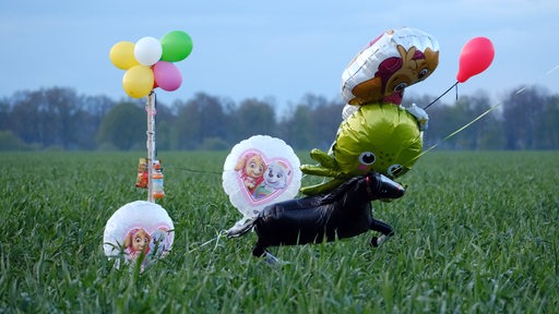 Luftballons und Süßigkeiten liegen auf einem Feld bei Bremervörde. 