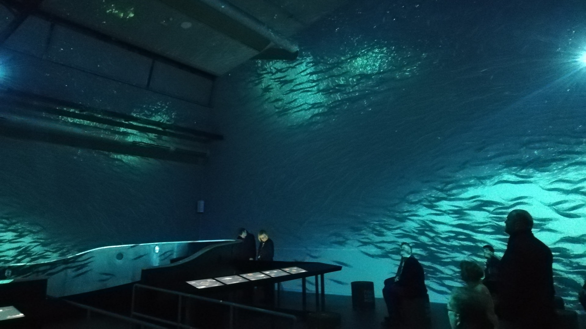 Unter Fischen: Ausstellung macht Bremerhavener Geschichte erlebbar ...