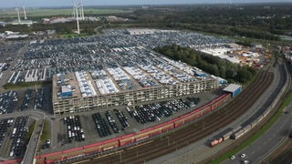 Zu sehen sind mehrere Autos die beim Autoterminal in Bremerhaven stehen.