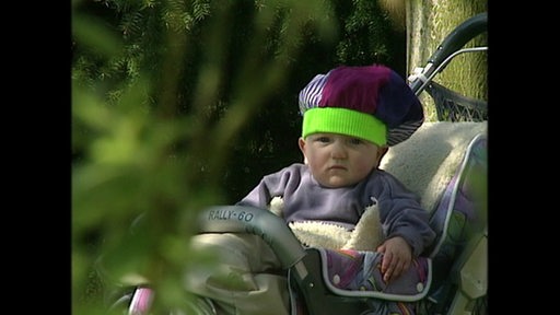Der kleine Junge Tom Tom in seinem Kinderwagen draußen im Grünen.