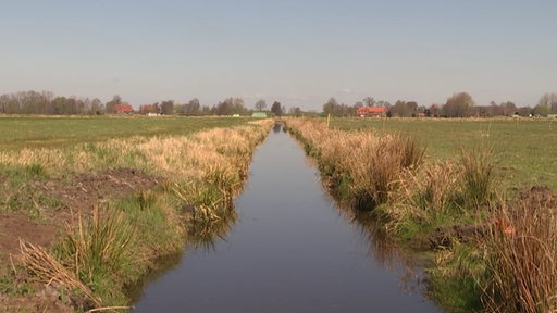 Ein Bach fließt durch ein entwässertes Feld