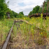 Stillgelegte Bahnstrecke mit Bewuchs