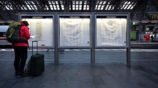 Eine Frau steht während dem bundesweiten Lokführer-Streik am Hauptbahnhof vor einer Informationstafel. Die Gewerkschaft Deutscher Lokomotivführer (GDL) hat ihren Streik bei der Deutschen Bahn am frühen Montagmorgen auch auf den Personenverkehr ausgeweitet.