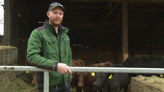 Der Rinderlandwirt Jan Geerken im Interview, neben ihm mehrere Angus Rinder. 