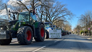 Lange Treckerkolonne auf dem Osterdeich