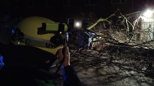 Ein Mitarbeiter des THW fotografiert einen umgestürzten Baum.