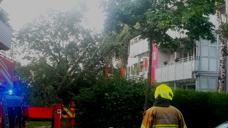Die Feuerwehr birgt einen Baum, der während eines Sturms auf ein Wohnhaus gefallen ist.