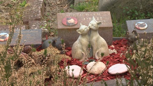 Ein Grab eines Haustiers auf dem eine Katzenstatue steht.