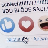 "Du blöde Sau" hat jemand auf Facebook kommentiert.
