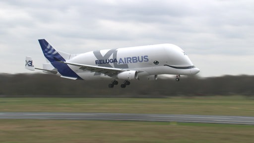 Es ist die Beluga von Airbus bei der Landung zu sehen.