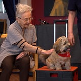 Eine ältere Frau streichelt einen Hund.