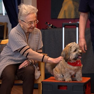 Eine ältere Frau streichelt einen Hund.
