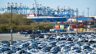 Zahlreiche Autos stehen auf dem Gelände vom BLG Autoterminal Bremerhaven.