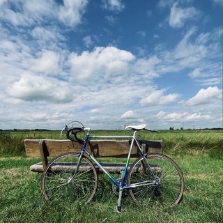 Ein silber-blaues Vintage Rennrad lehnt an einer Bank im hohen Gras, dahinter sieht man den blauen Himmel über dem Bremer Blocklands.