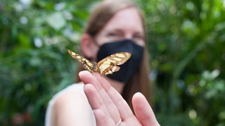 Schmetterling auf Hand, im Hintergrund Frau mit Mund-Nasen-Schutz