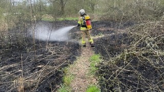 Brand am Forst Reinkenheide wird gelöscht