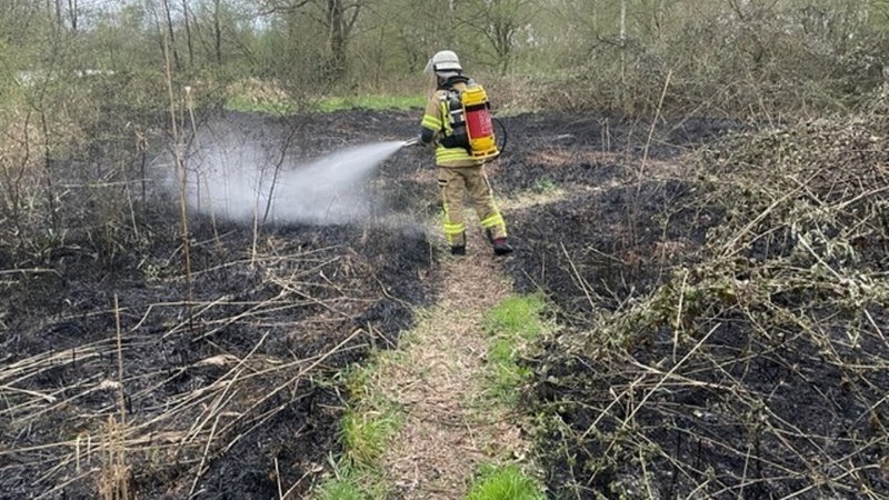 Brand am Forst Reinkenheide wird gelöscht