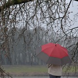 Eine Frau mit einem Regenschirm steht unter einem Baum und schaut auf einen See