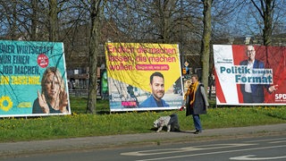 Eine Frau läuft an großen Wahlplakaten der Grünen, der FDP und der SPD vorbei.