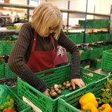 Eine Frau sortiert ehrenamtlich Gemüse und Obst bei der Tafel