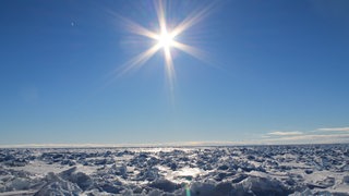 Eine geschlossene Eosdecke reicht bis zum Horizont, darüber blauer Himmel und die Sonne.