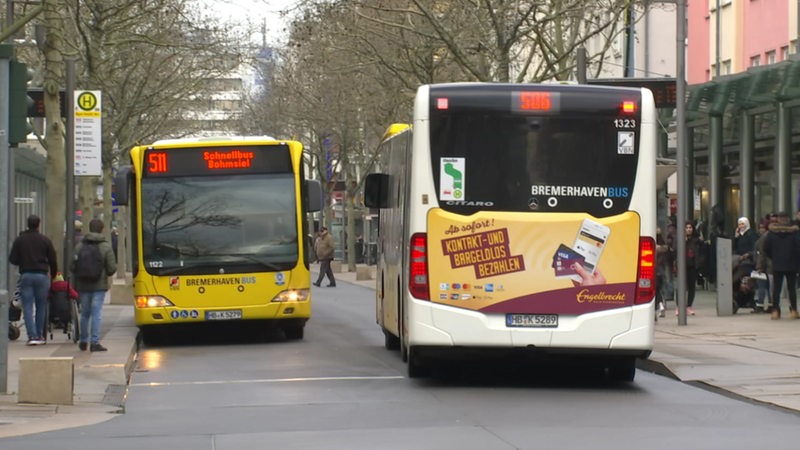 Zwei Busse stehen an einer Haltestelle in Bremerhaven.