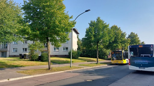 Auf einer Straße vor Häuserblocks fahren Busse.