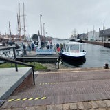 Ein Ausflugsschiff liegt in einem Hafen, an Land steht ein Hund.