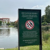 An einem Gewässer warnt ein Schild vor dem Entenfüttern.
