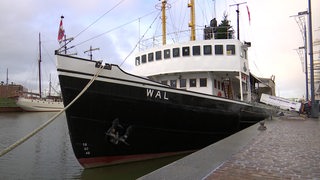 Das Eisbrecherschil "Wal" im Hafen