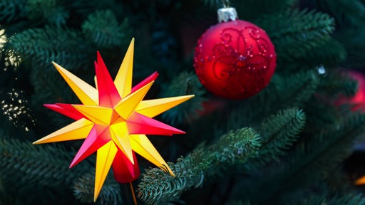 Ein Weihnachtsstern und eine Christbaumkugel hängen an einem Weihnachtsbaum.