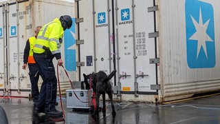 Ein Mann in Uniform steht mit einem Hund an einem Koffer neben einem Container.