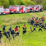 Feuerwehrleute gehen in einer breiten Reihe eine Wiese entlang. Im Hintergrund stehen Feuerwehrautos auf einem Deich.