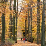 Spaziergänger im herbstlichen Bürgerpark