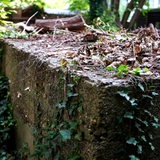 Ein bewachsener Betonklotz steht in der Natur