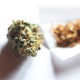 Eine getrocknete Cannabis-Blüte liegt neben Zigarettenpapier und Tabak.