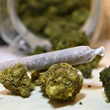 Ein Joint liegt auf Blüten einer Hanfpflanze.