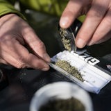 Ein Mann schüttet zerkleinertes Marihuana in einen Joint. Zu sehen sind nur seine Finger, Tabakblättchen und eine Dose.