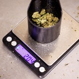Ein Becher mit Cannabisblüten steht auf einer Feinwaage